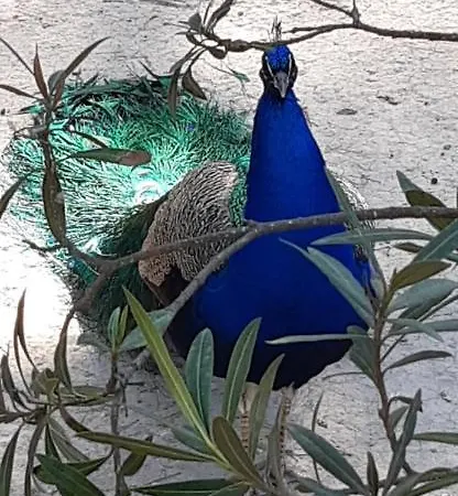 Przytulny 100m Od Plazy * Torrevieja